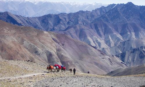 Lonely Planet Trekking in the Indian Himalaya: Weare, Garry